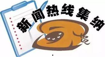 哈尔滨新闻爆料热线电话  第2张